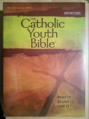 The Catholic Youth Bible, New American Bible by , Good Book