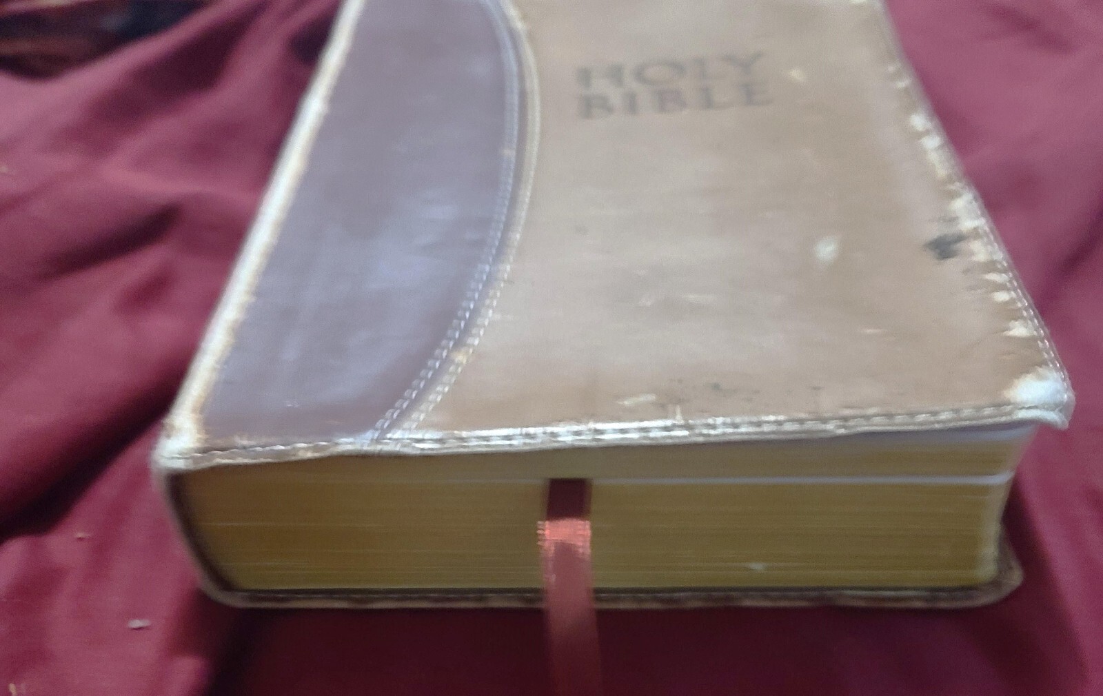 Zondervan New International Version NIV LeatherSoft Holy Bible