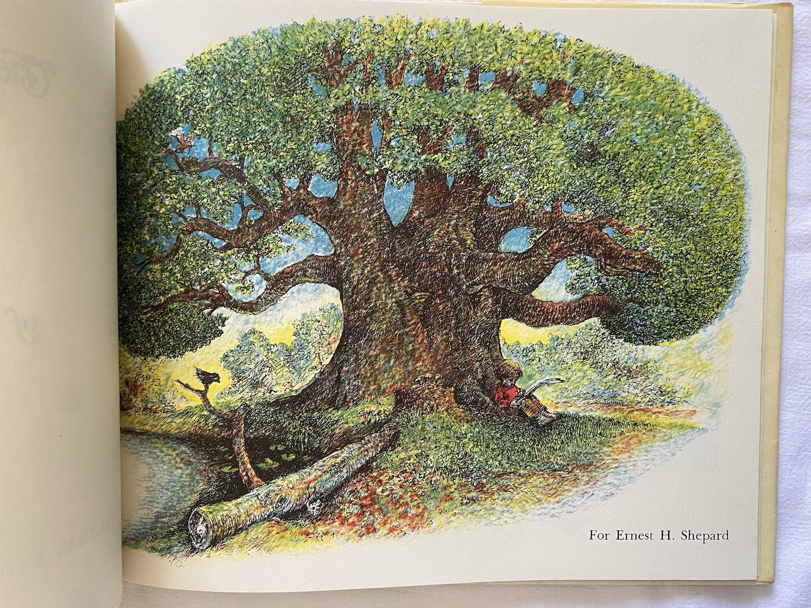 Magical Drawings of Moony B Finch David McPhail 1978 HC 1st Ed
