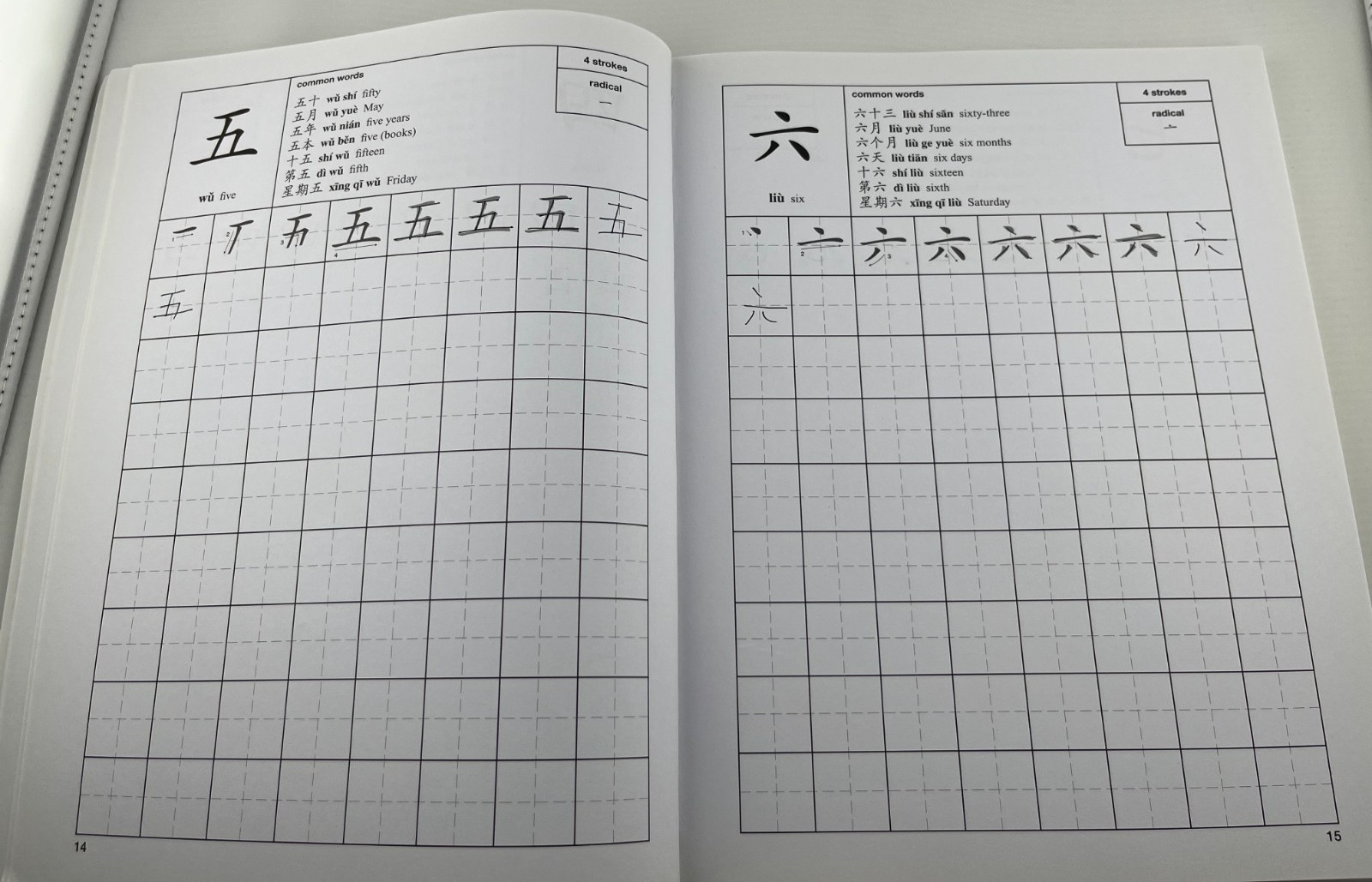 The First 100 Chinese Characters: Simplified Character Edition – Some writing