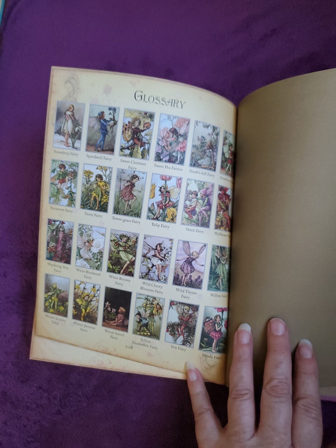The Girls’ Book of Flower Fairies (HC, 2008) Frederick Warne (Crafts & Stories)