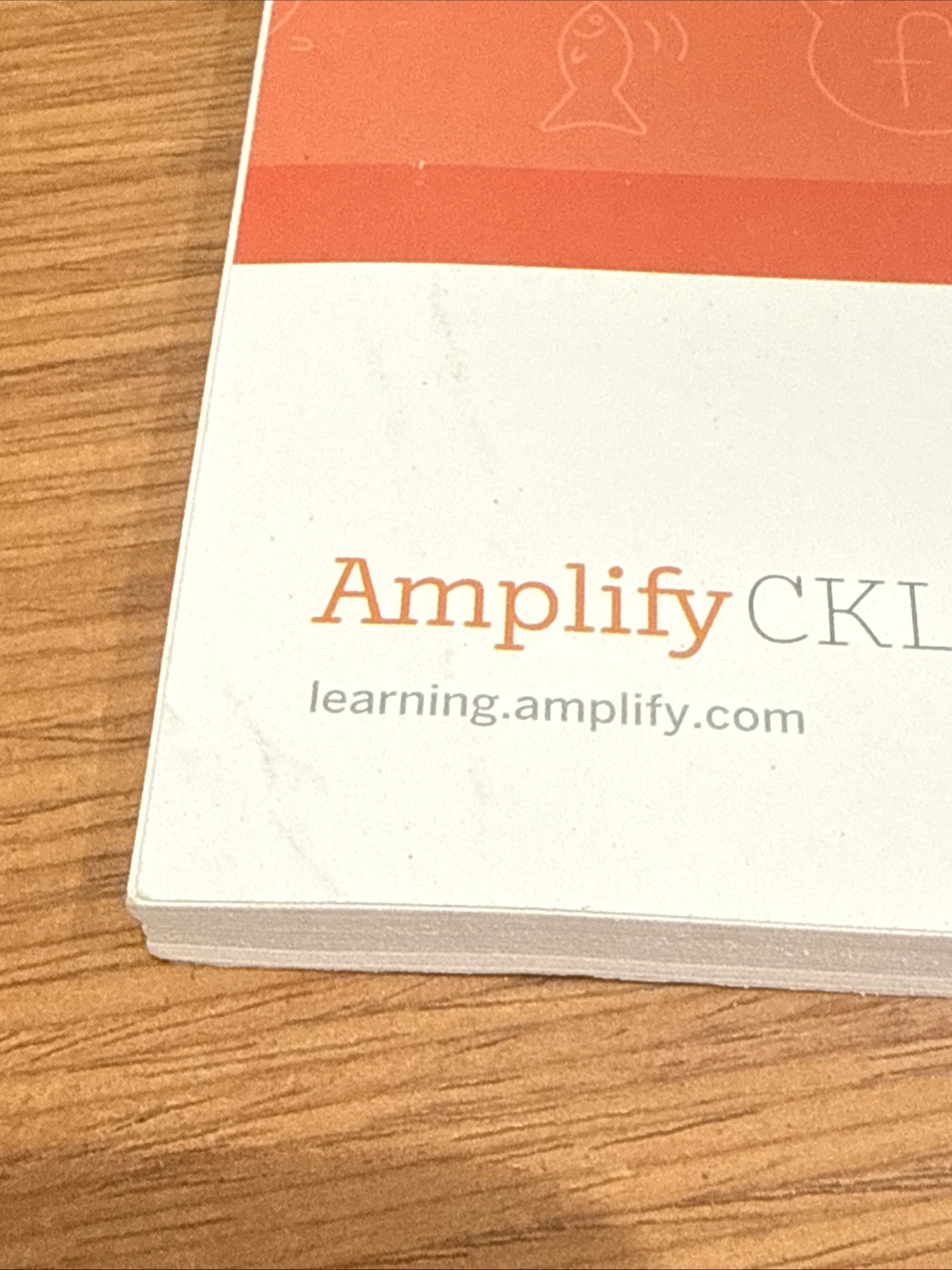 Amplify Core Knowledge Language Arts Skills 5 Activity Book Kindergarten