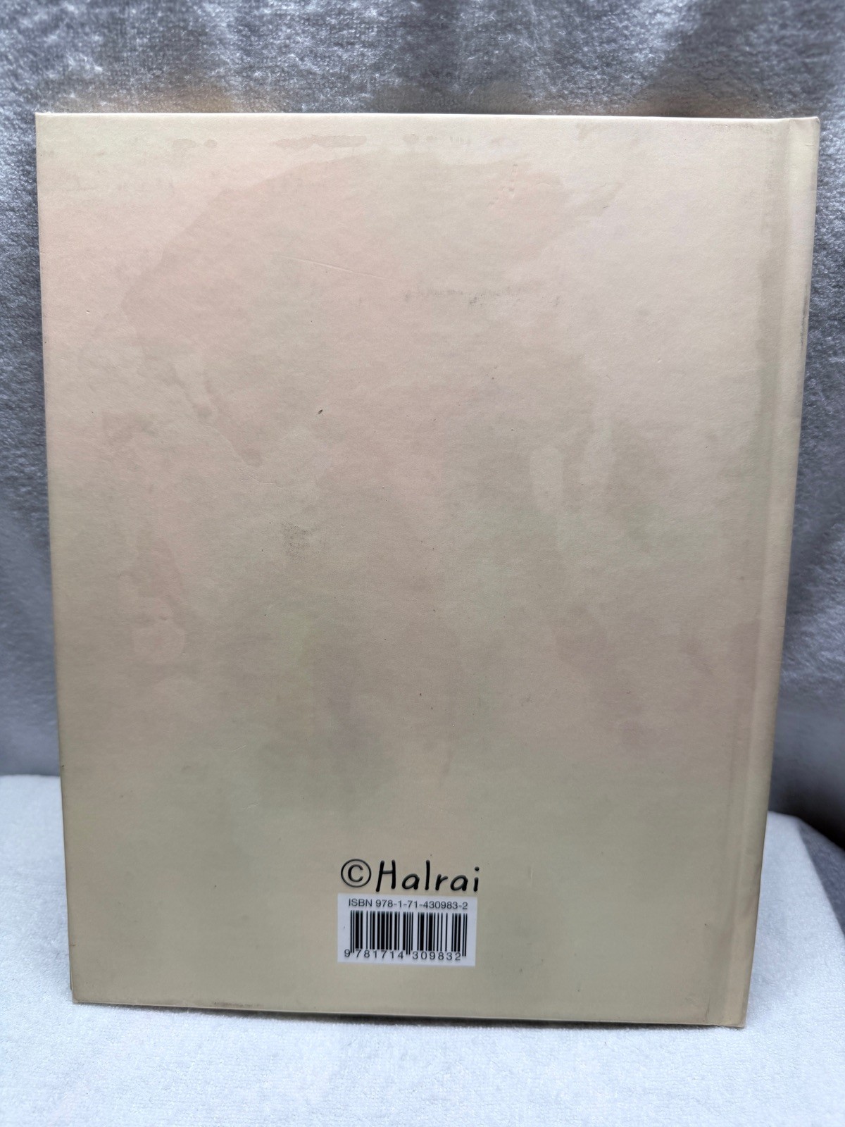 Visiting a Friend Halrai Hardcover 2021 Blurb Book Illustrated Story Used