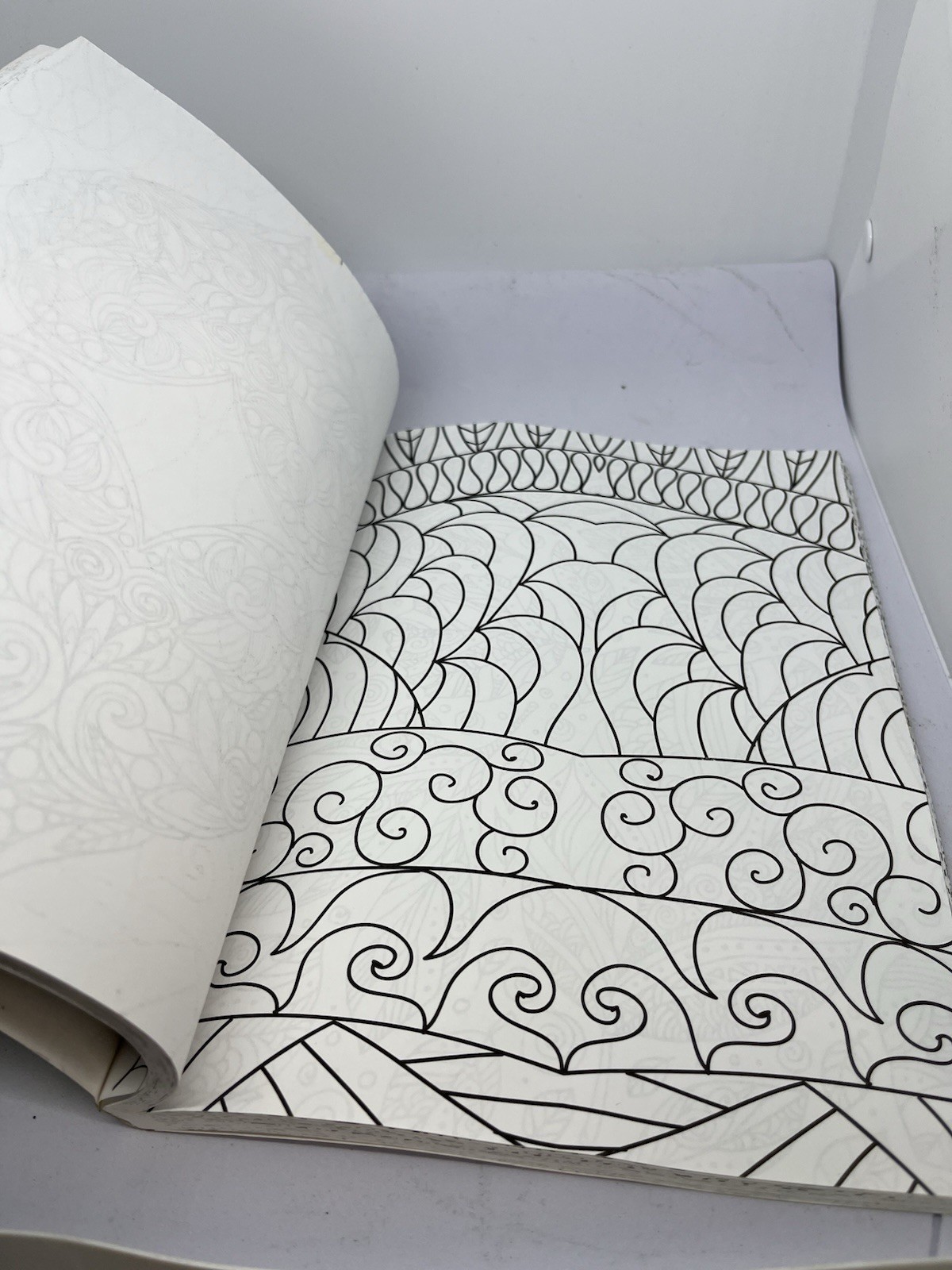 Color Your World: An Adult Coloring Book – 11×7.5″ – Large Art Coloring Book