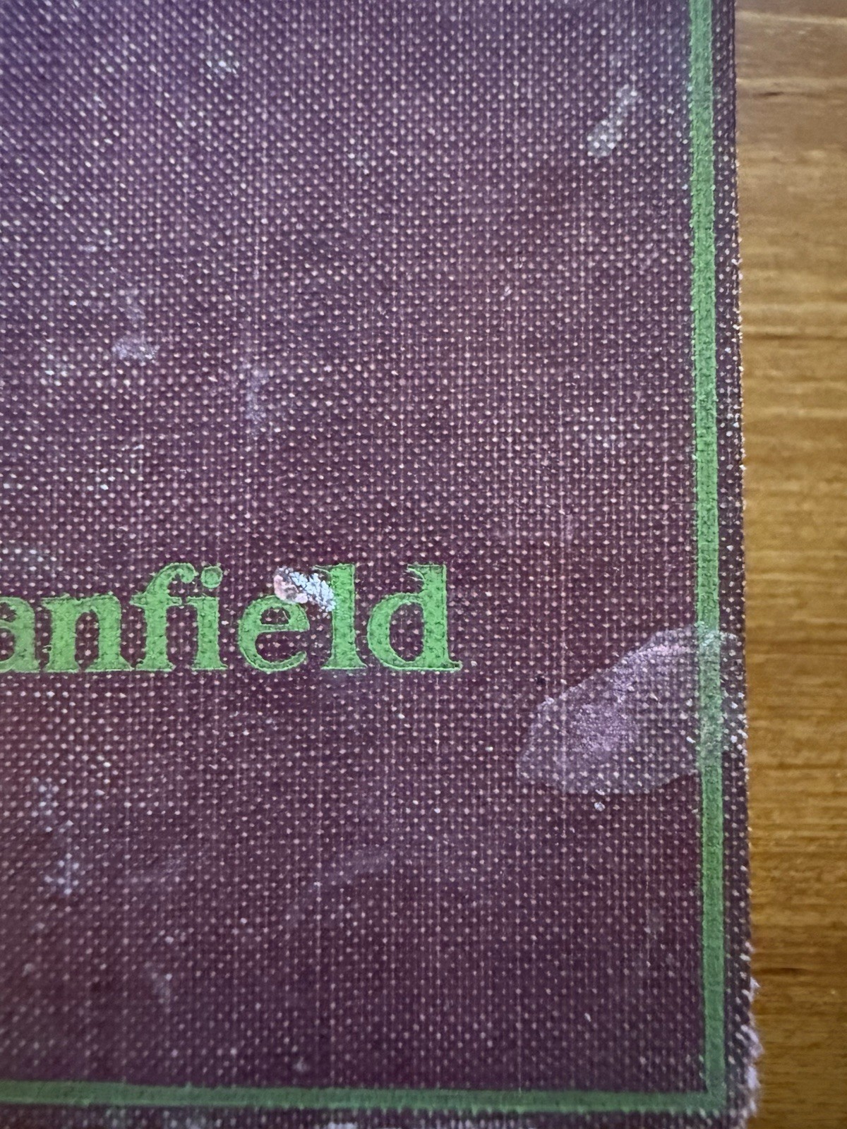 The Home-Maker by Dorothy Canfield, 1924, First Edition, Harcourt Brace & Co
