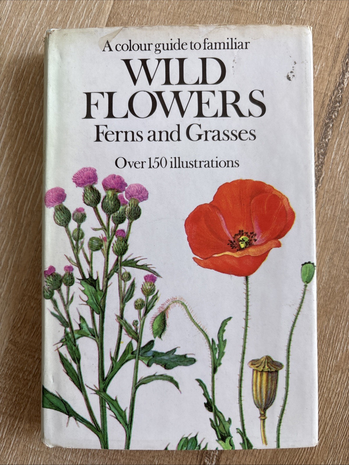 WILD FLOWERS FERNS AND GRASSES Bohumil Slavik 1975 HCDJ Octopus Czech Guide Vtg