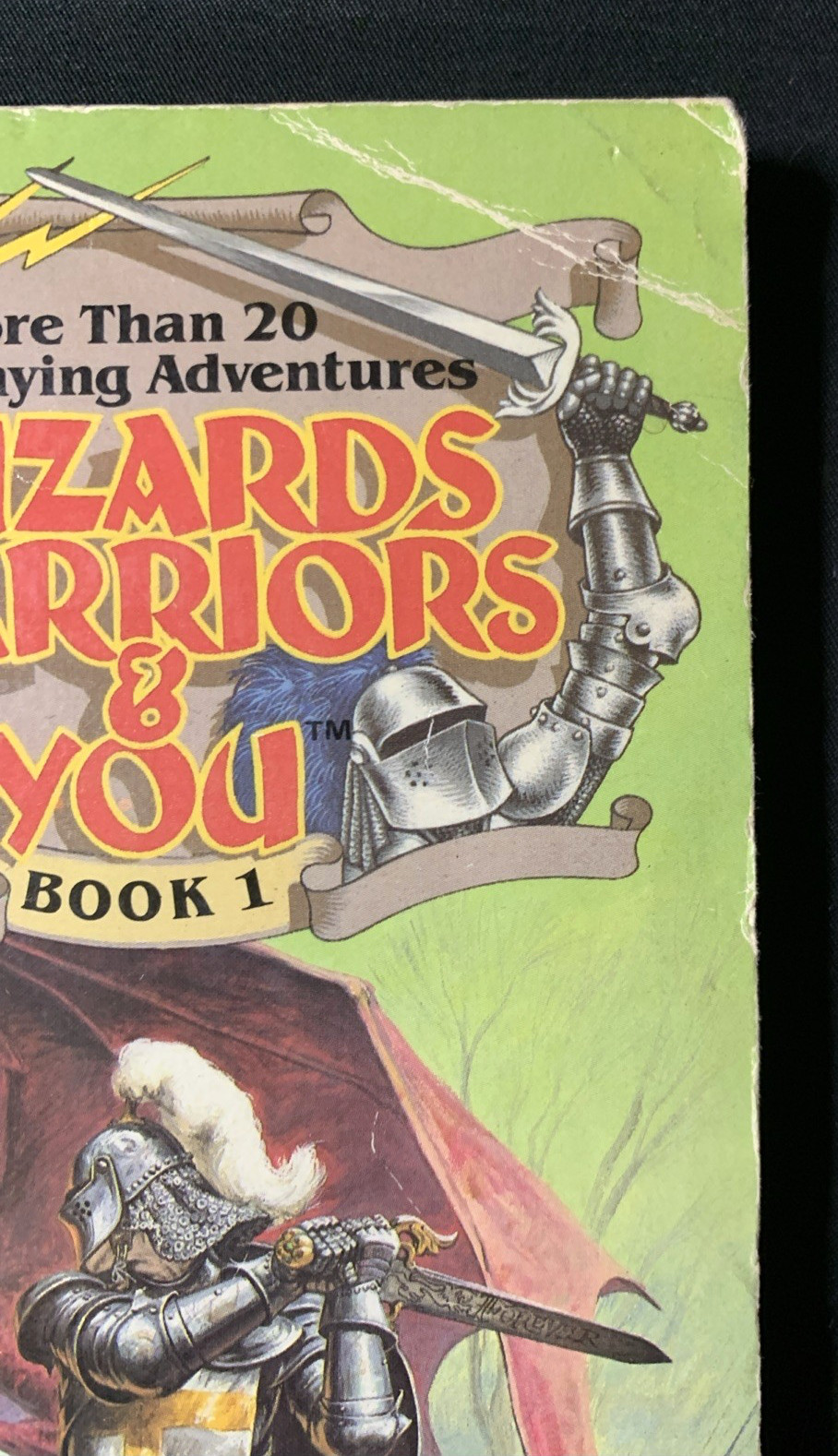 Book 1: Wizards Warriors & You by R. L. Stine – 1st First Avon Paperback 1984