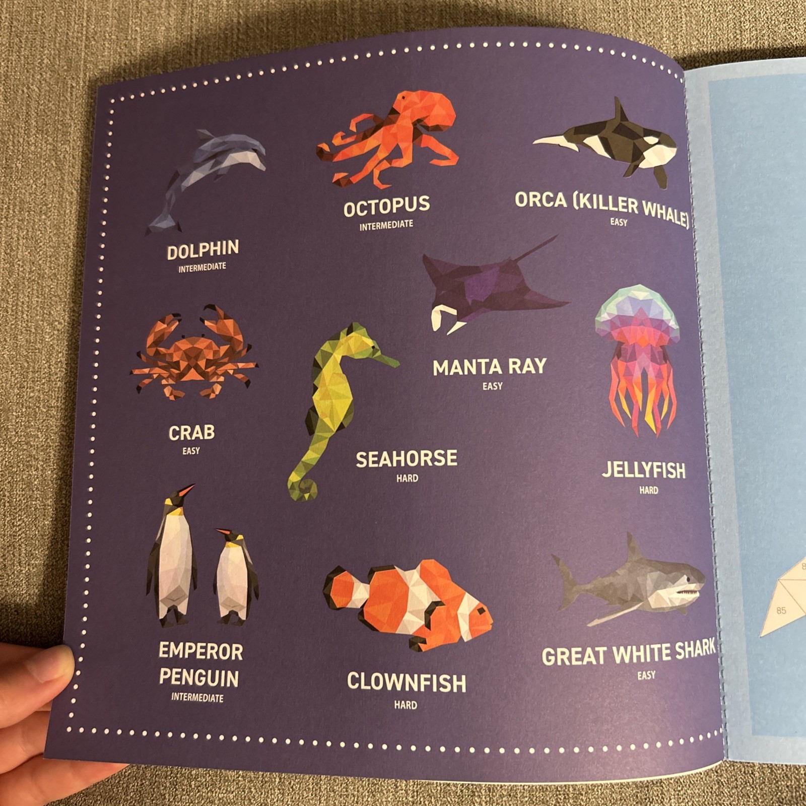 My Sticker Paintings: Ocean Animals : 10 Magnificent Paintings by Logan Powell