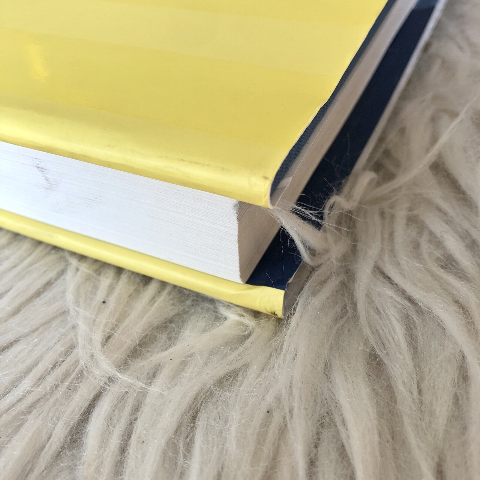 Elsie de Wolfe, the Birth of Modern Interior Design Acanthus Press Yellow Book