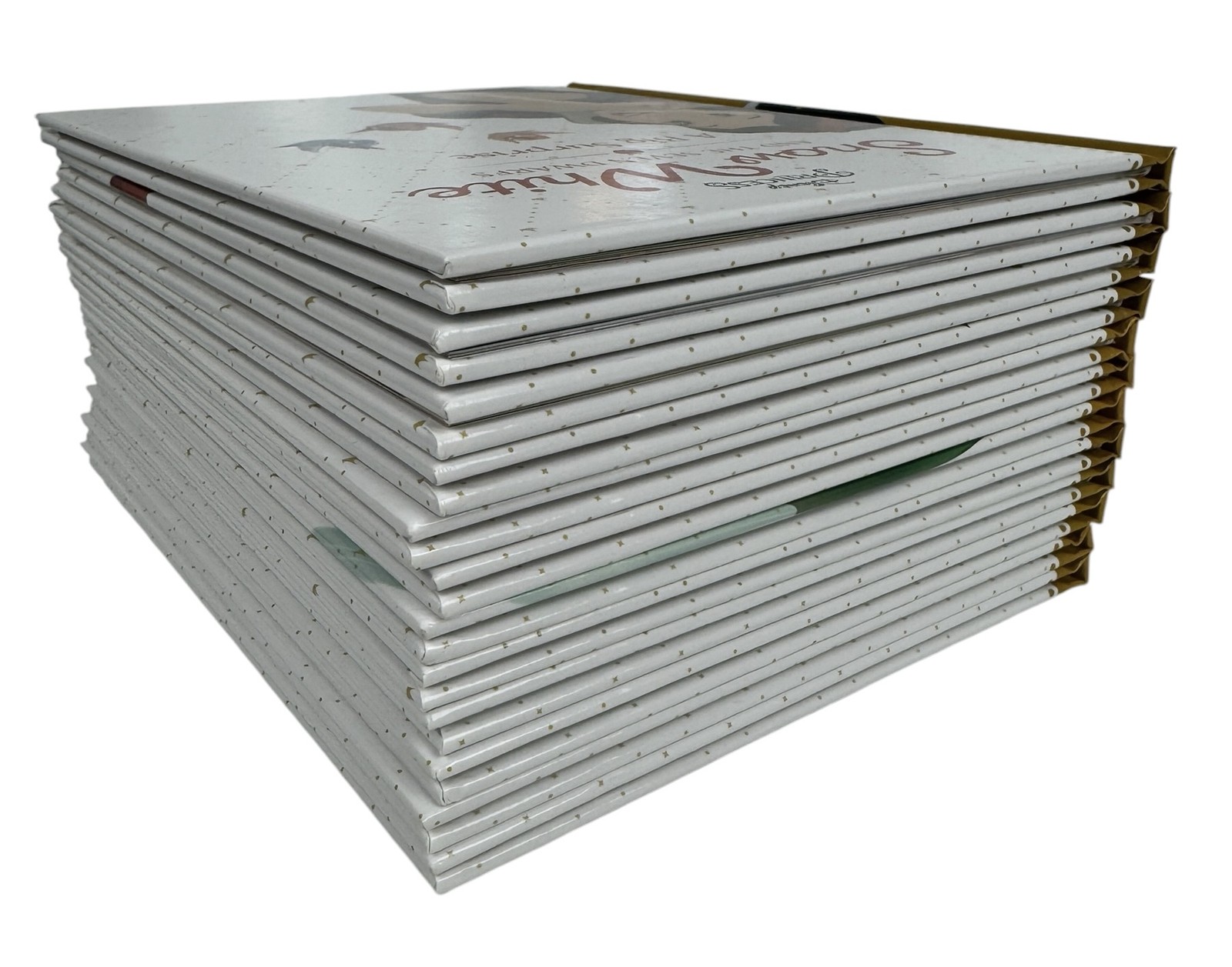 Disney Princess 5-Minute Stories Book Set 12-Book Collection Box Set Hardcover