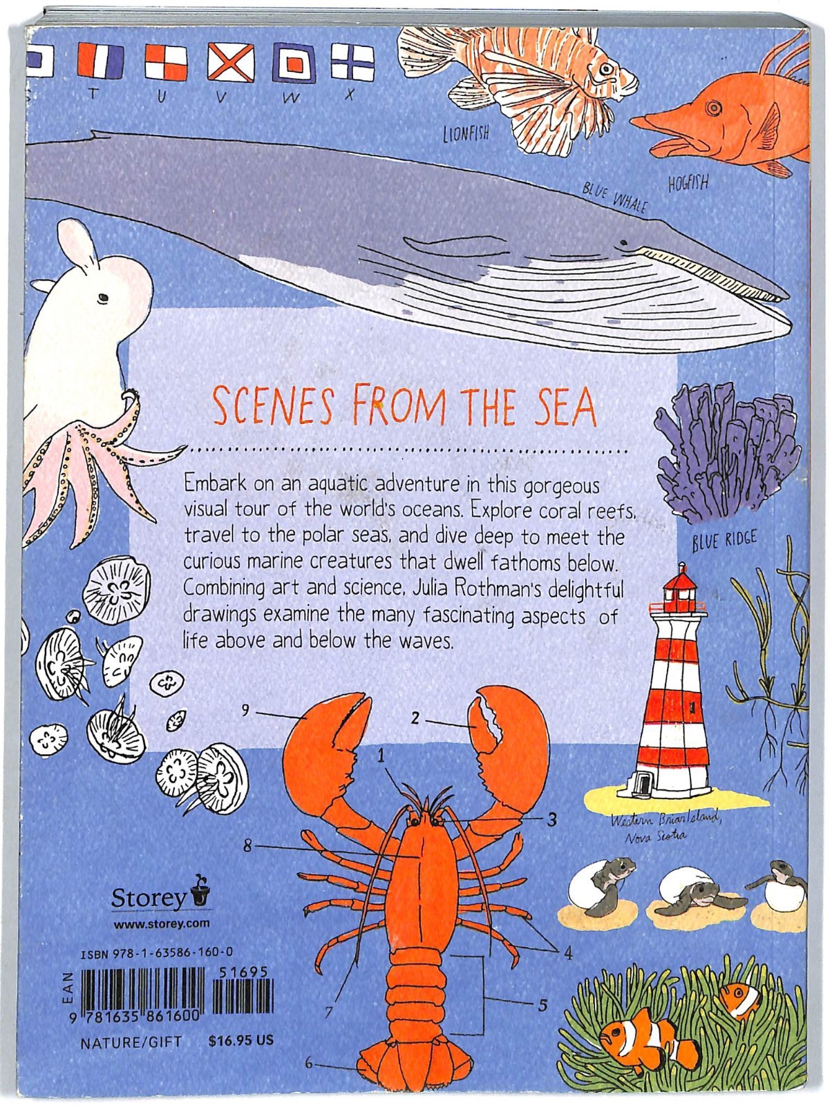 Ocean Anatomy: The Curious Parts & Pieces of the World under the Sea