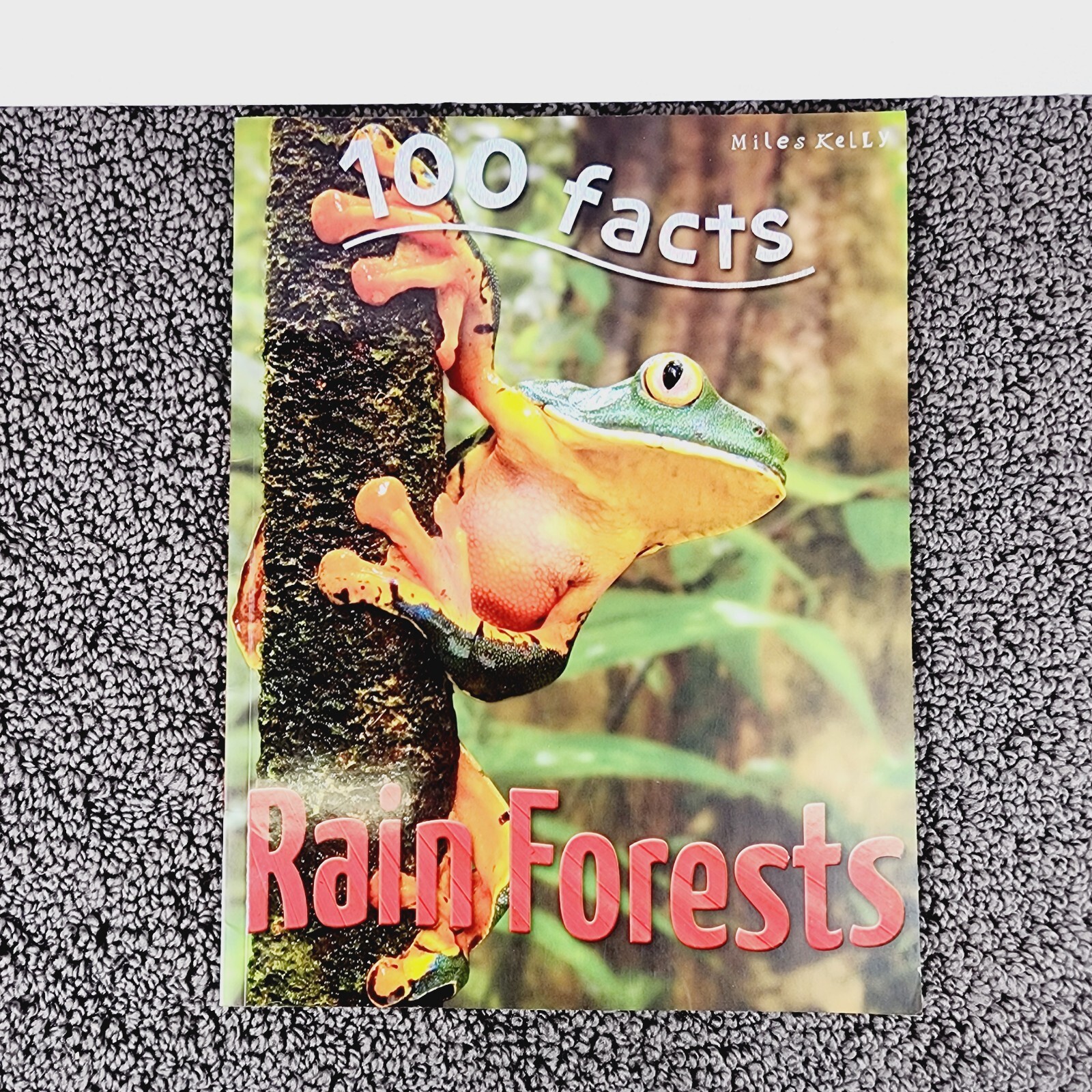 100 Facts Large Picture Book Lot 4 Miles Kelly Ages 7-11 Grades 1-5 Homeschool