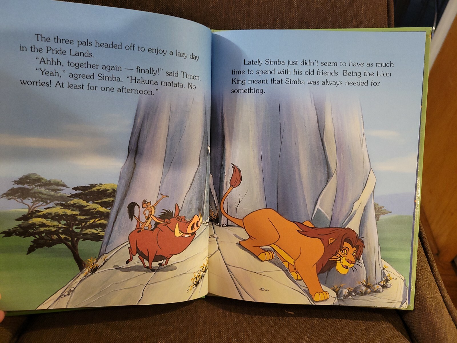 “Lion King The Pal Patrol” Hardcover Book Disney’s Storytime Treasures Library