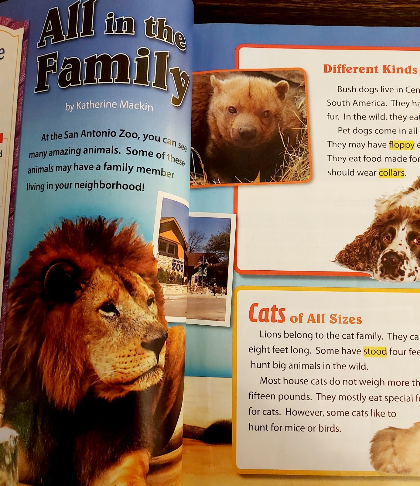 Textbook Journeys Ser: Volume 1 ELA~Houghton Mifflin; hardcover illustrated