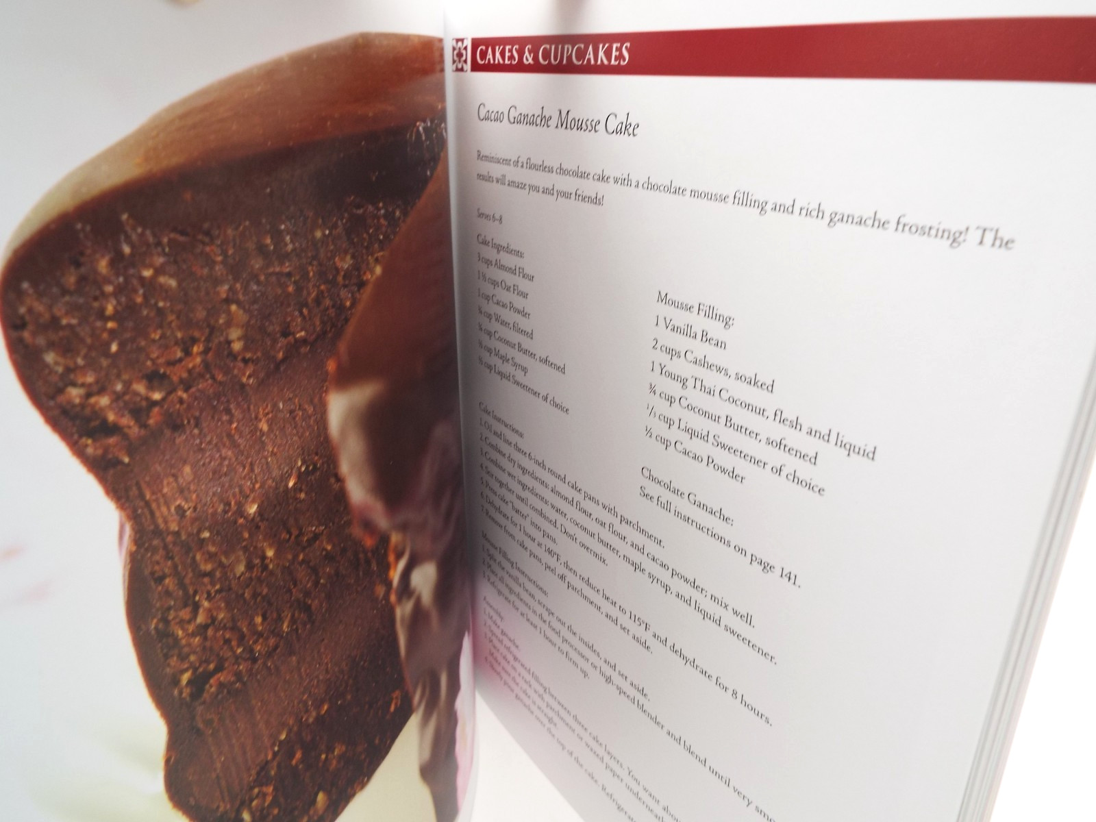 Rawmazing Desserts Easy Raw Food Recipes for Goodies ~ Susan Powers PB NEW