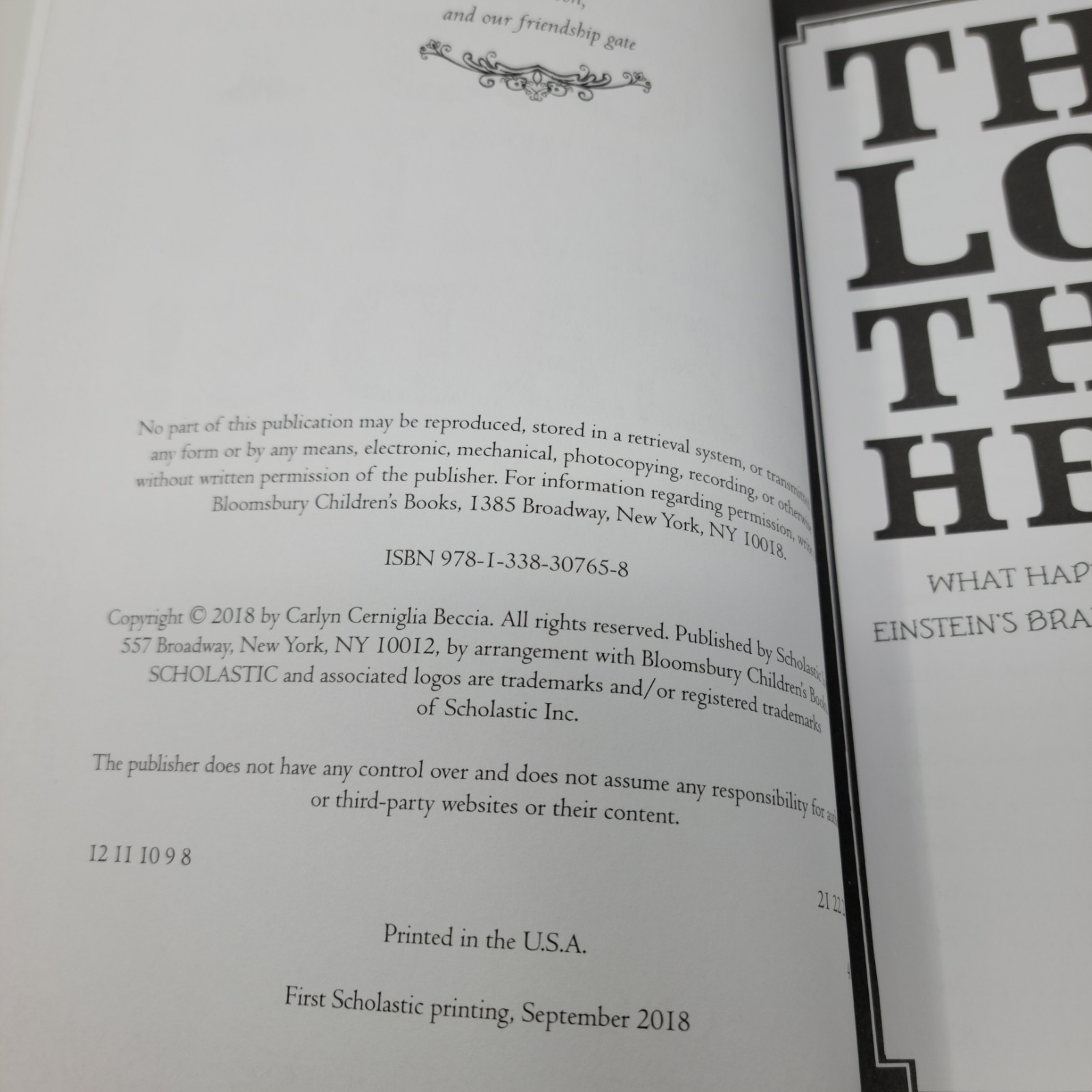 THEY LOST THEIR HEADS Book Carlyn Beccia 2018 Scholastic Paperback