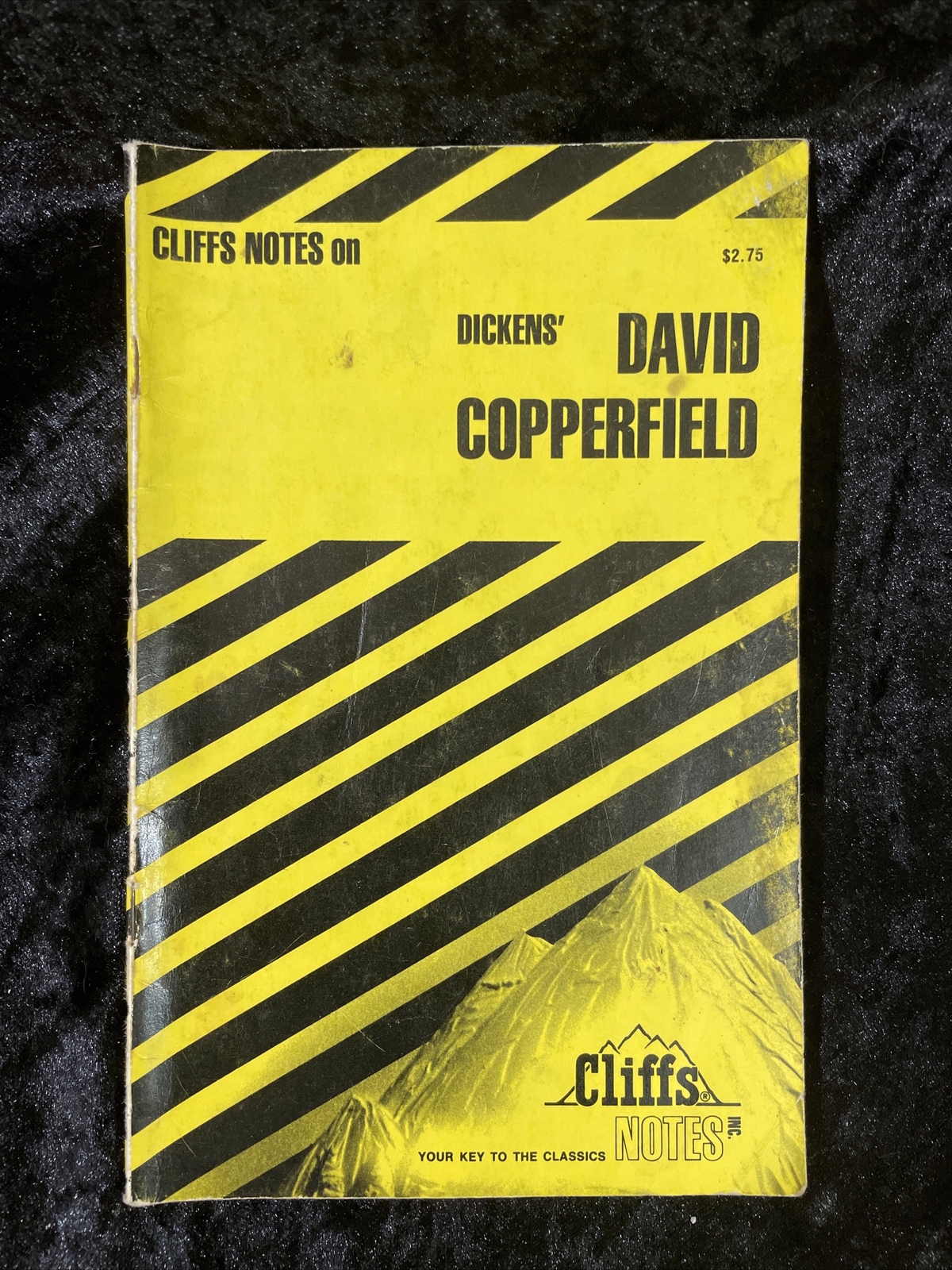 CliffsNotes – Select from several titles – volume discount – Atlas Shrugged &