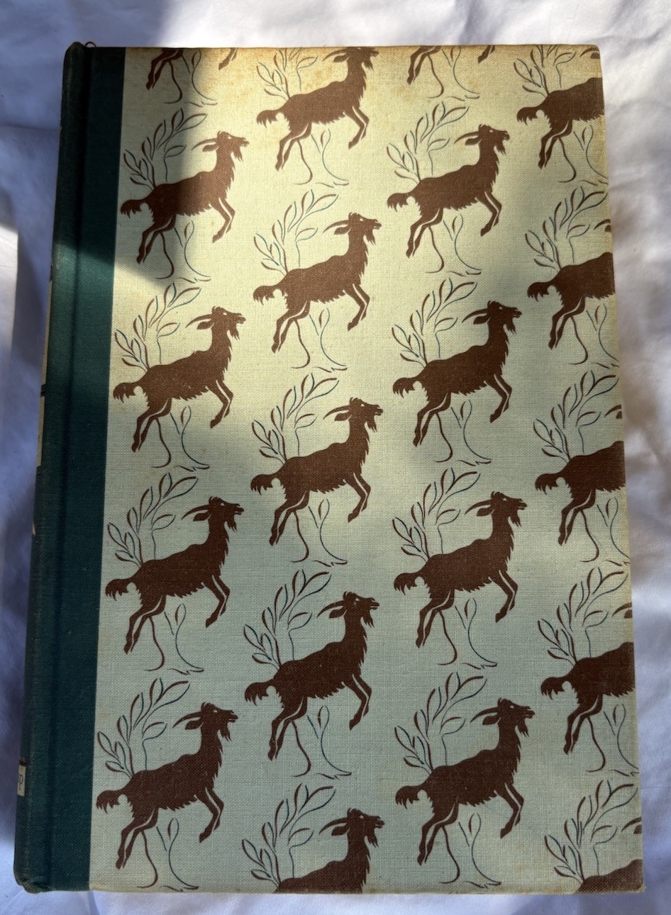 Heidi Illustrated Junior Library Hardcover by Johanna Spyri, Grosset 1945