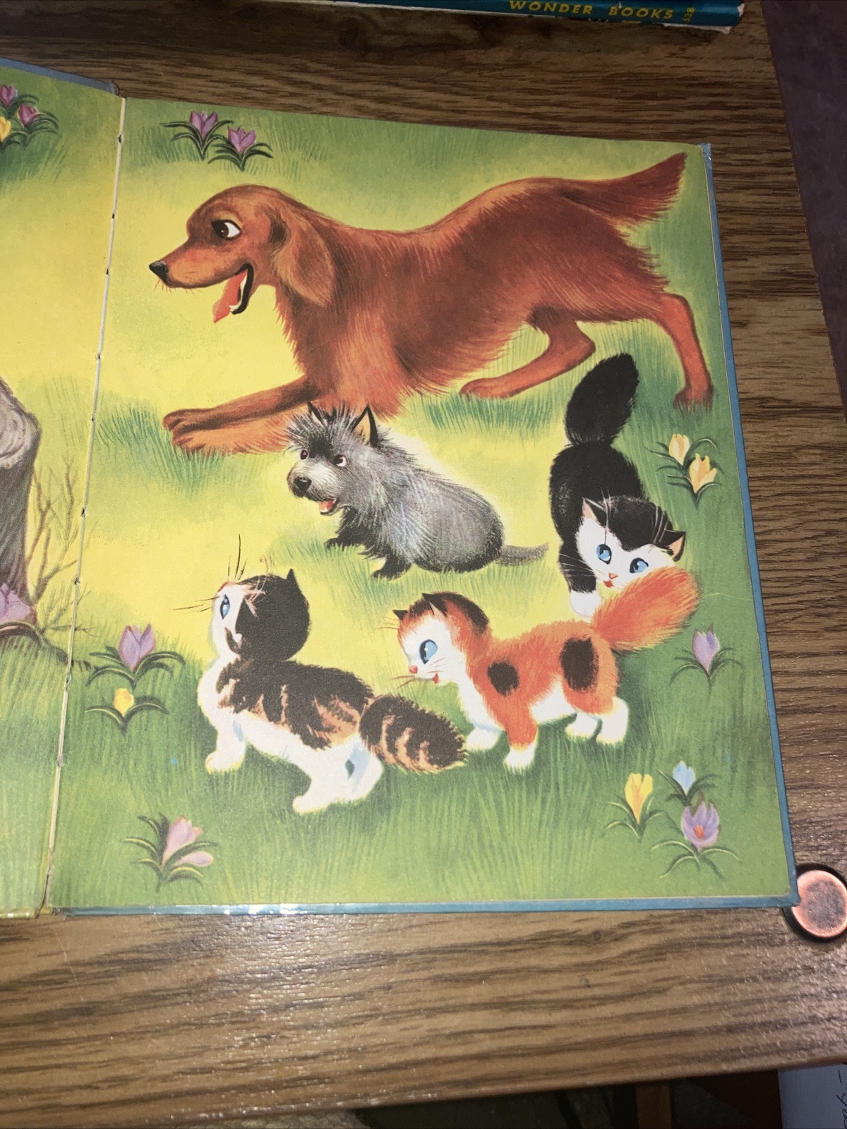 The Hide and Seek Duck by Irma Wilde , 1952 Wonder Books #568 Hardcover