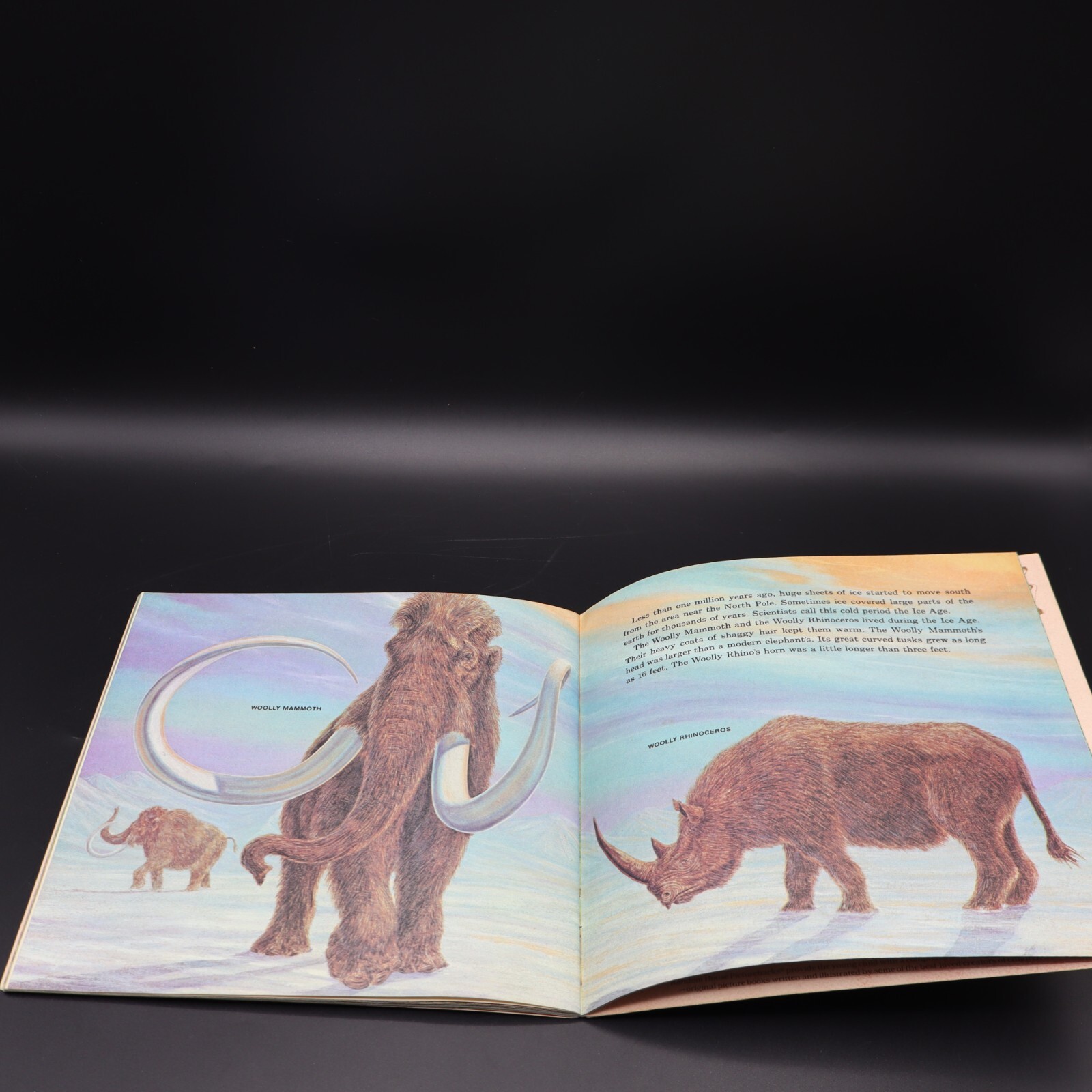 Prehistoric Animals By Peter Zallinger Childrens Book Random House Vintage 1978