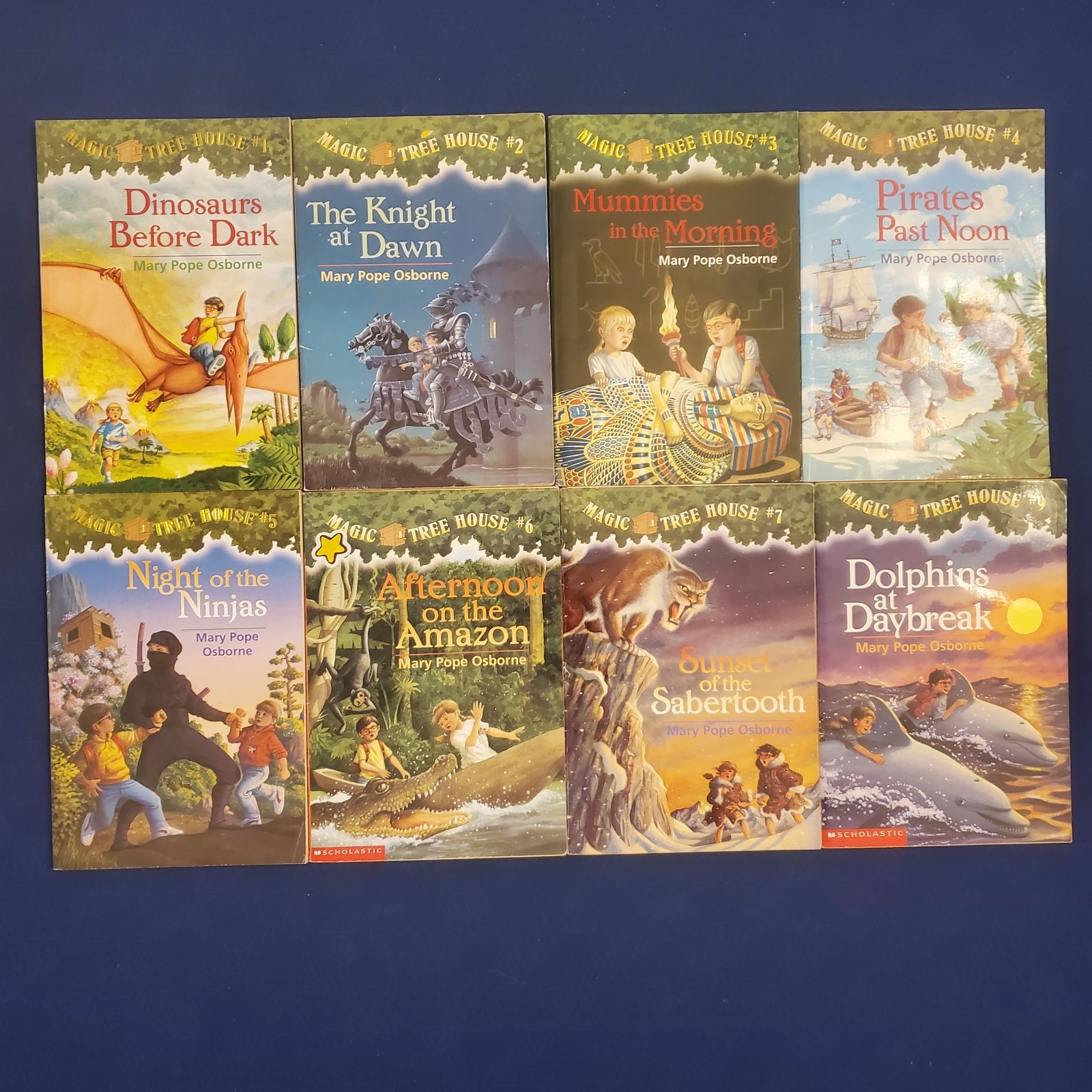 Magic Tree House Series Mary Pope Osborne Lot of 22 Paperback Books