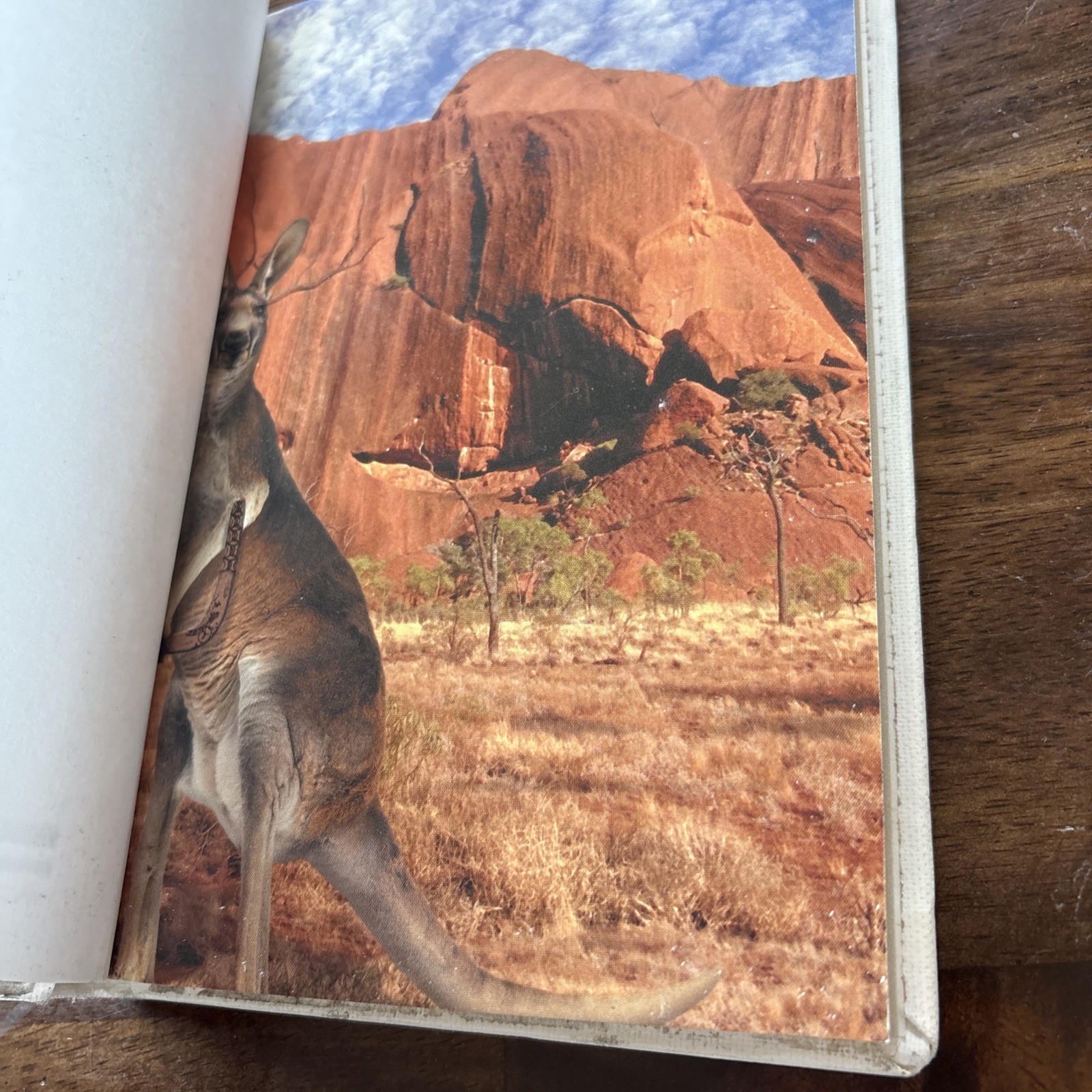 Animorphs #44 The Unexpected Hardcover Book By K.A. Applegate Kangaroo Y2K BTSB
