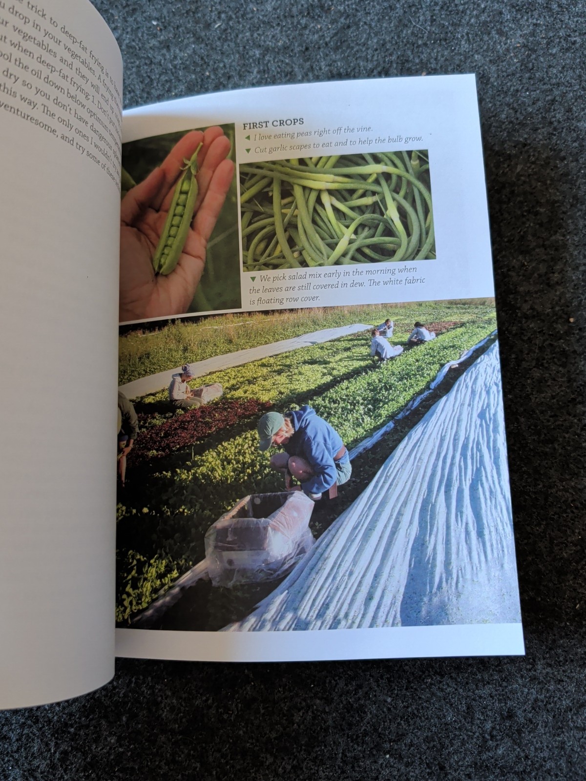 Rosaly Bass: Organic! Gardener’s Handbook, SIGNED first edition, Signed (K)