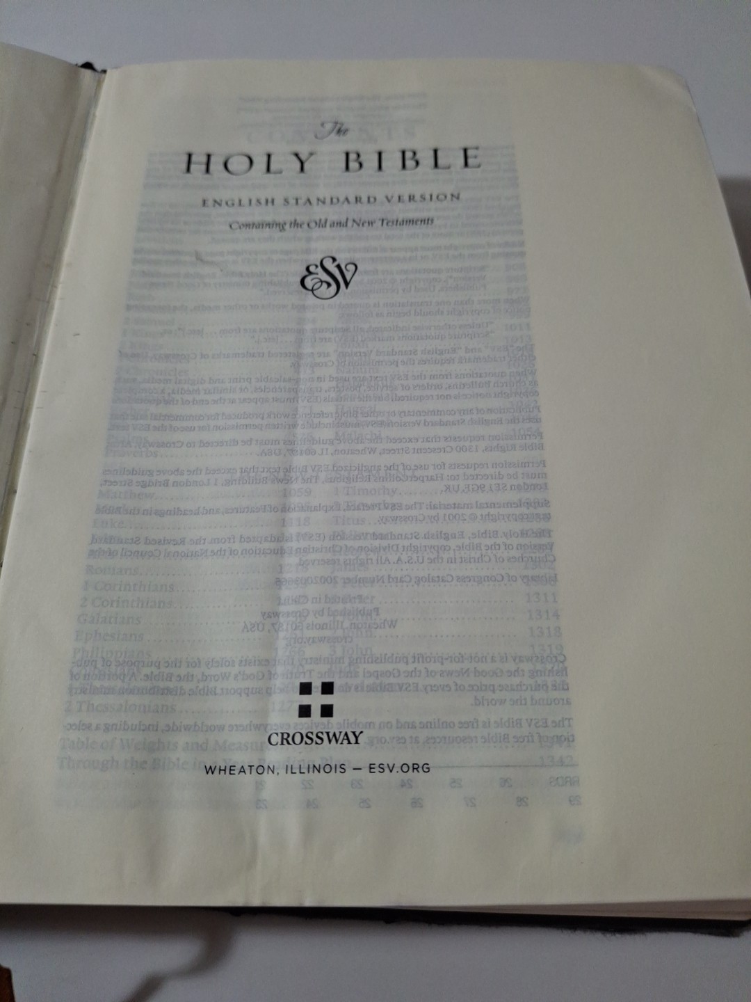 ESV Single Column Journaling Bible, Artist Series, Hardcover, Joshua Noom