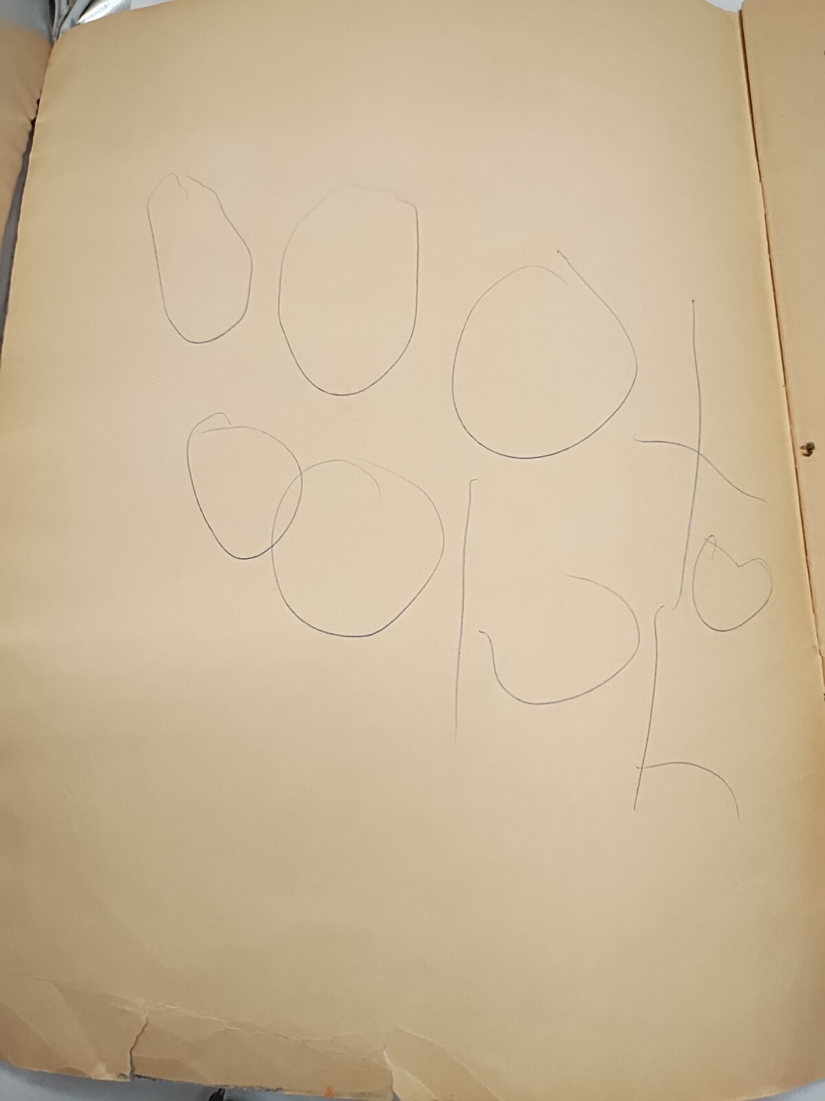 *16 Pages Used*1970s Puss In Boots Giant Coloring Book
