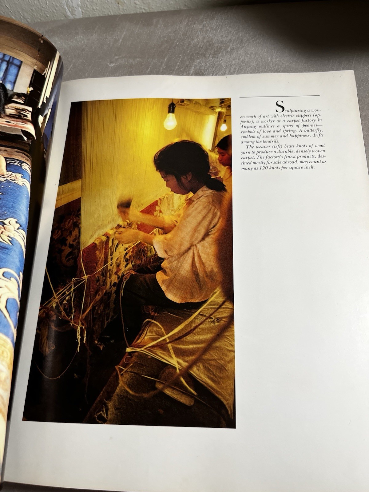 Journey Into China by U. S. National Geographic Society
