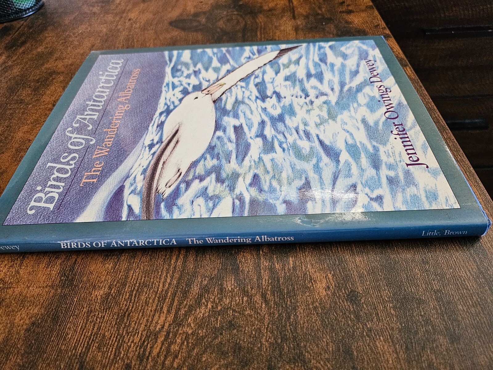 The Wandering Albatross Birds of Antarctica Jennifer Dewey Nature Book