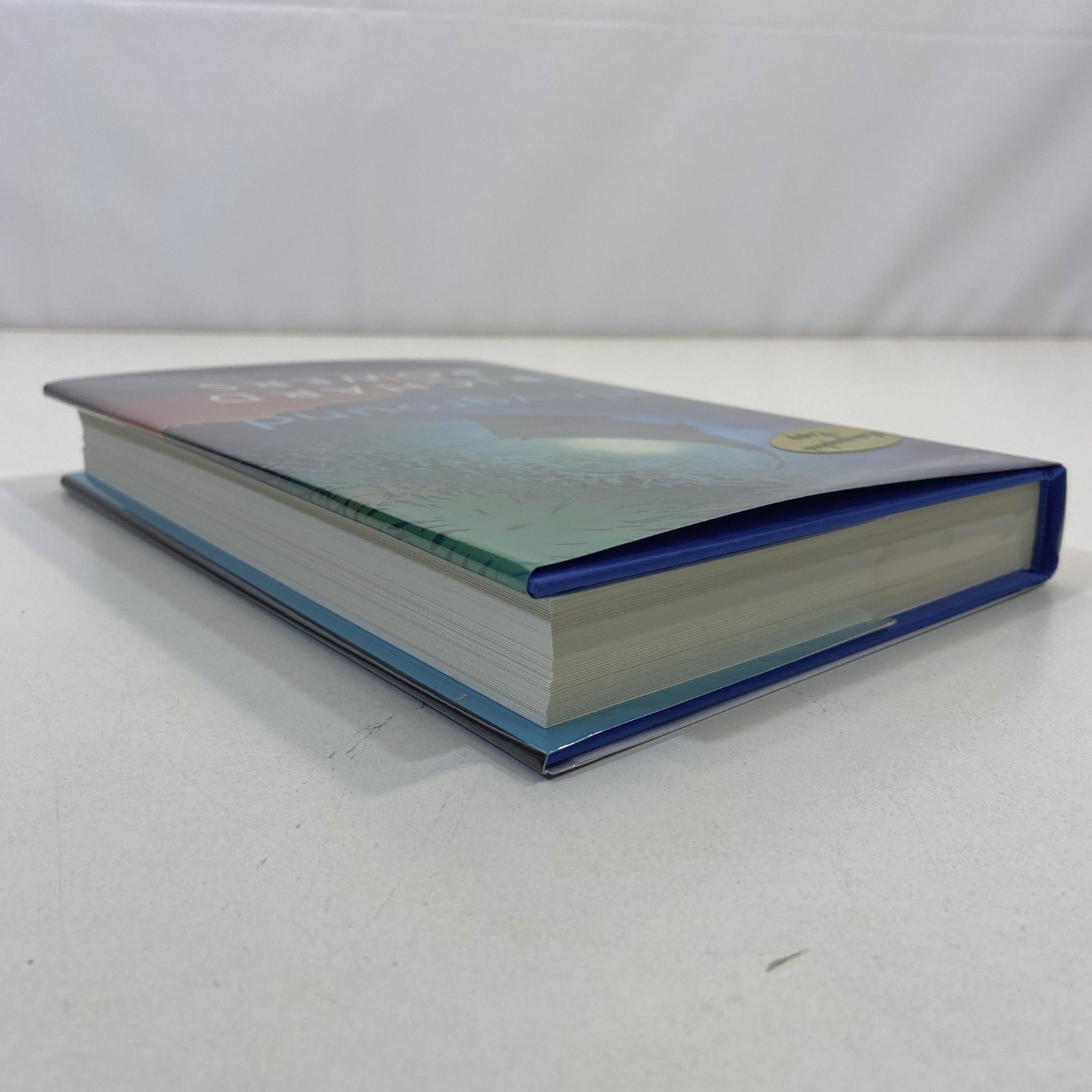 Playground A Novel Signed by Richard Powers 1st Edition 2024 HCDJ Norton & Co