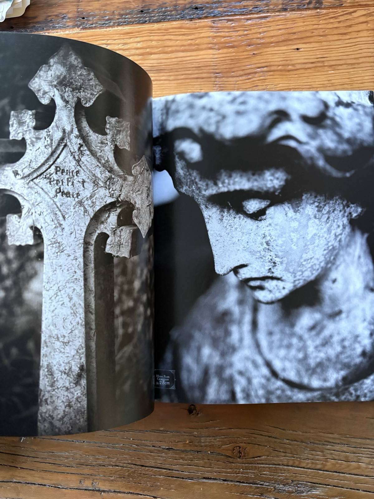 This Is Gonna Hurt, Music, Photography and Life Nikki Sixx 1st Ed, 1st Printing