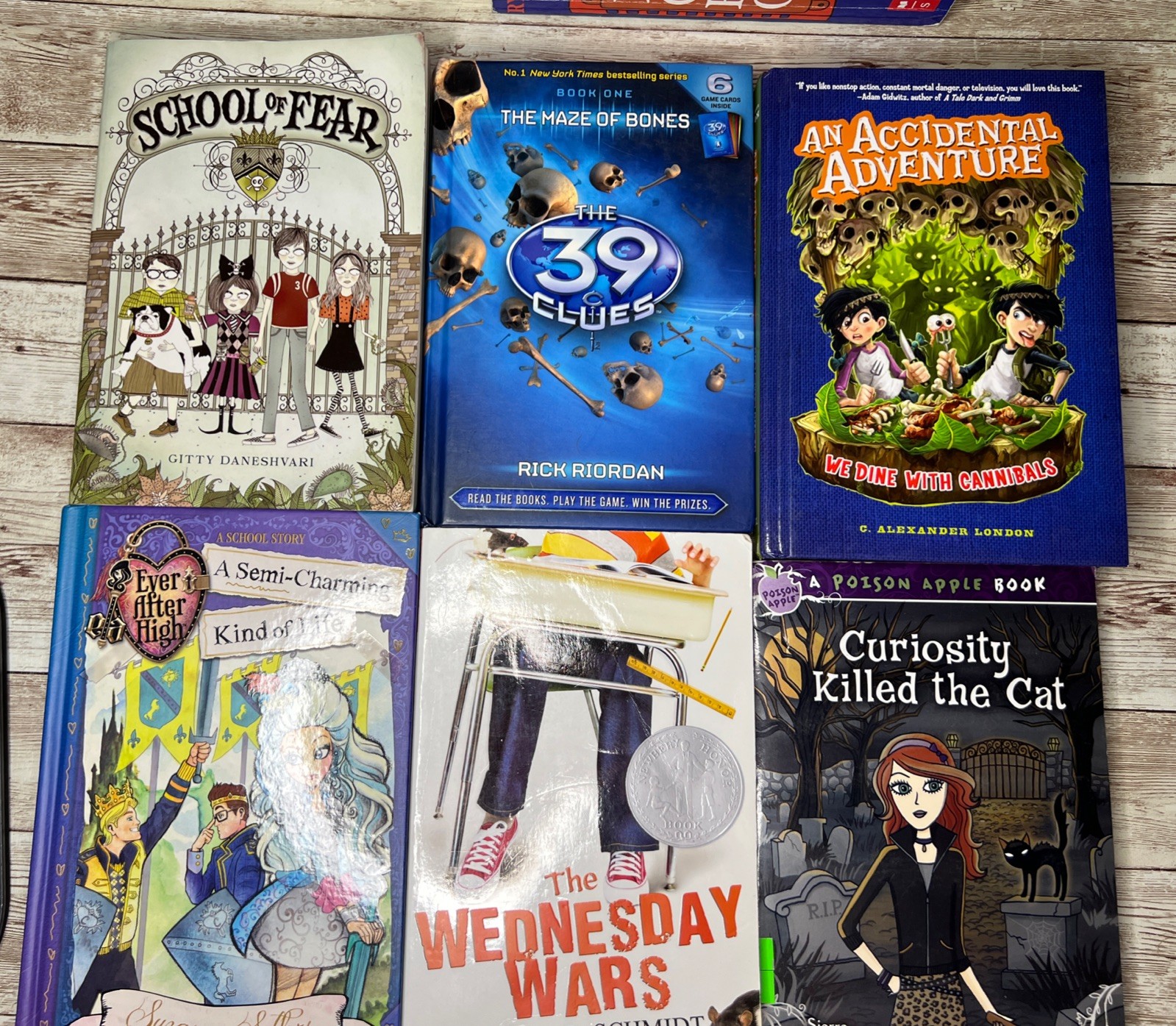 Lot of 28 Grade 3-6 Chapter Books Novels 14lbs / 39 Clues, ECHO , School of Fear