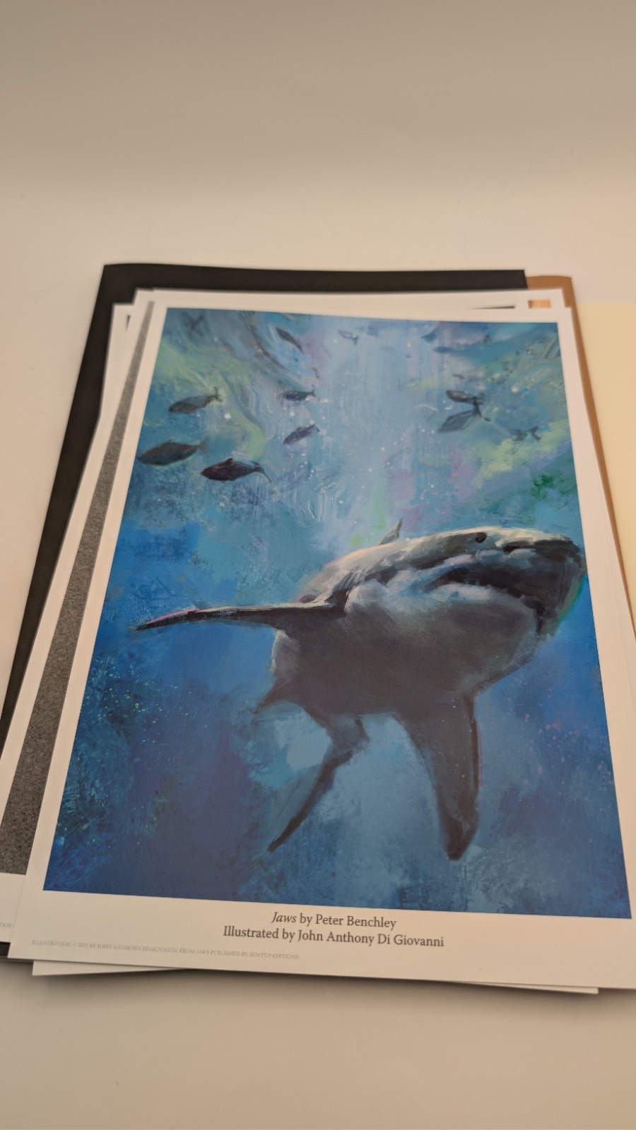 Suntup 2021 Art Portfolio – 15 Art Prints