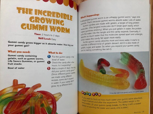 Candy Experiments: By Leavitt, Loralee (Paperback, 146 pages very clean)
