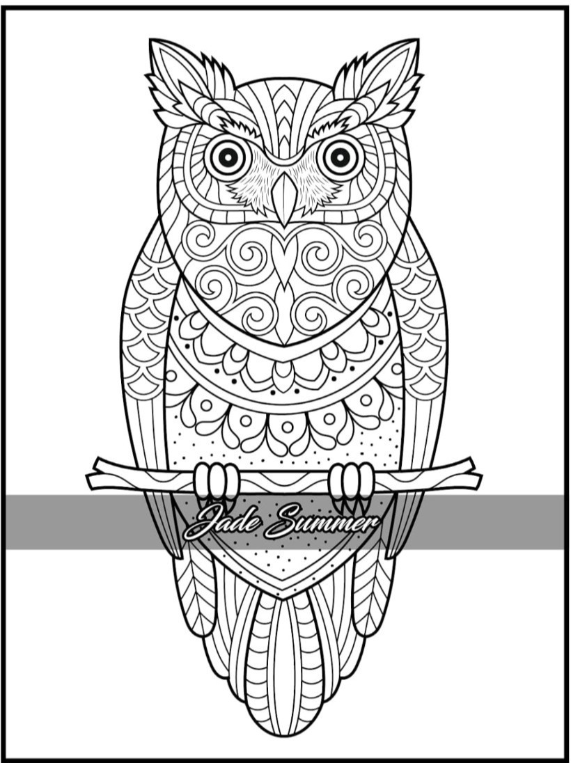 3 Adult Coloring Books Creative Mindful Stress Relief Jade Summer Animals Nature