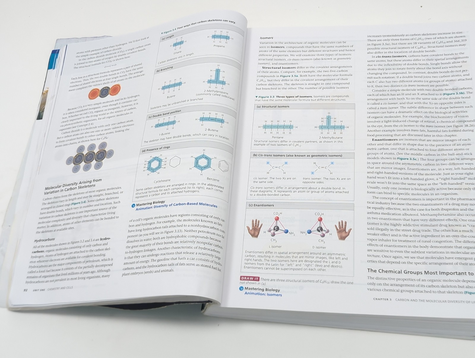Campbell Biology In Focus 3 Edition Urry Cain Wasserman Minorsky Global