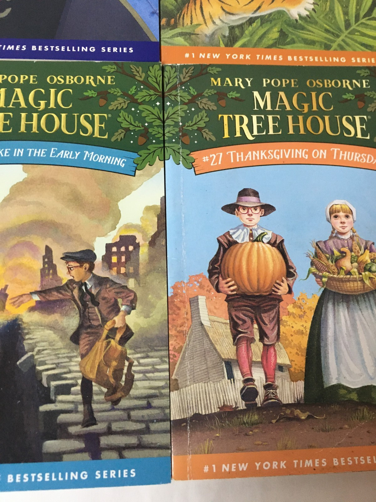 Lot of 14 Magic Tree House Original Series Books by Mary Pope Osborne Paperback