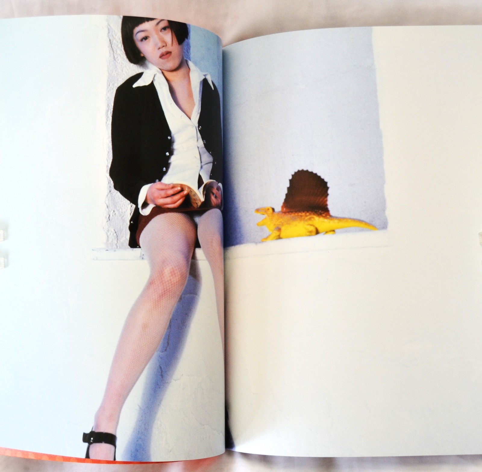 Nobuyoshi Araki Photo Book Novel-themed photos large book 29 x 21 cm 135P Rare