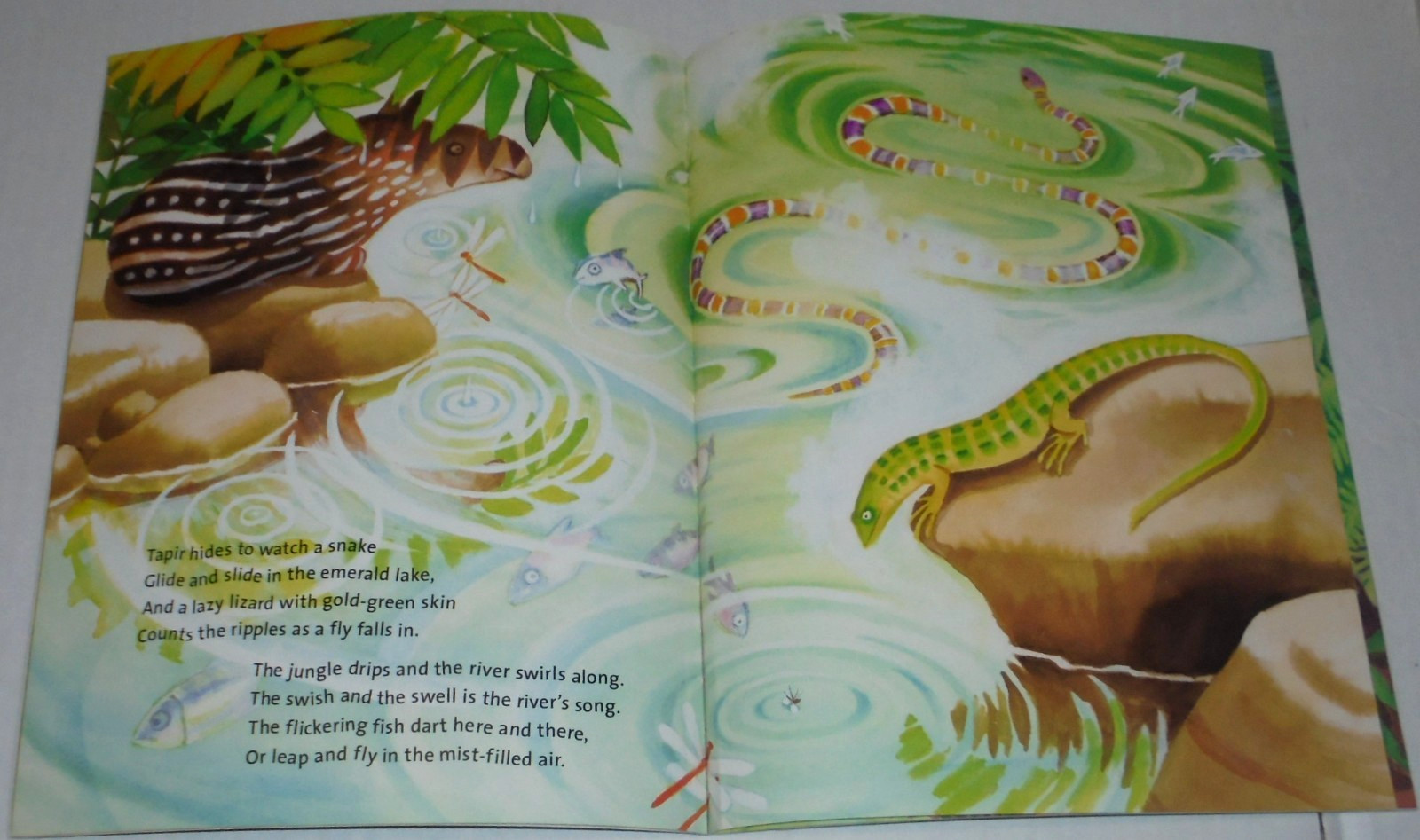 JUNGLE SONG BOOK BY MIRIAM MOSS 2005 21CM X 27CM
