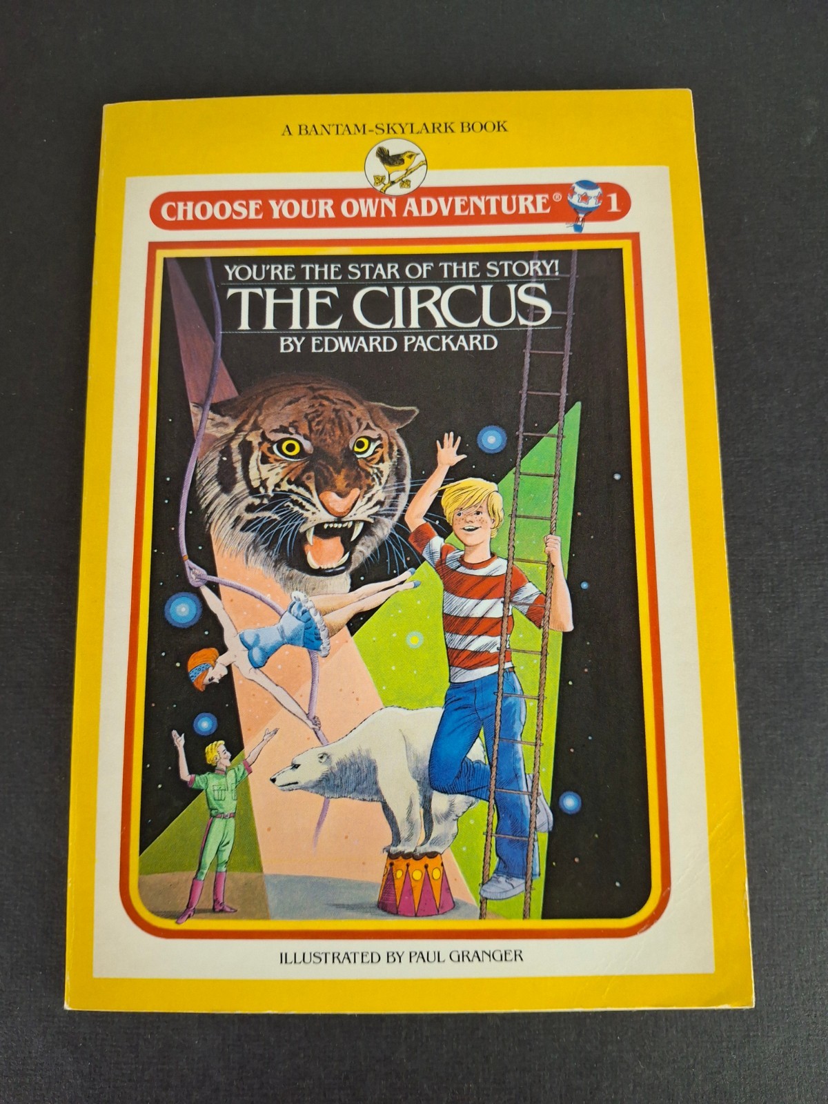 Choose Your Own Adventure Bantam Skylark Bargain Bin Sale! CYOA Book Lot
