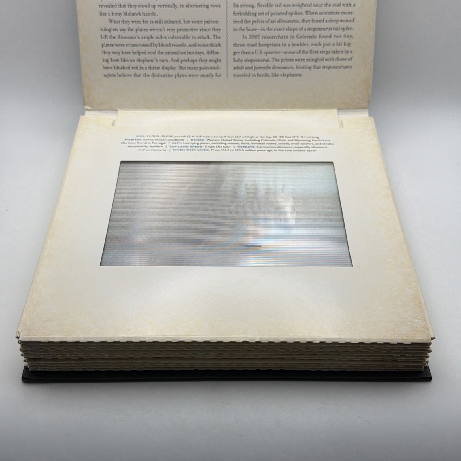 Dinosaur: A Photicular Book By Dan Kainer And Kathy Willard 3D Motion