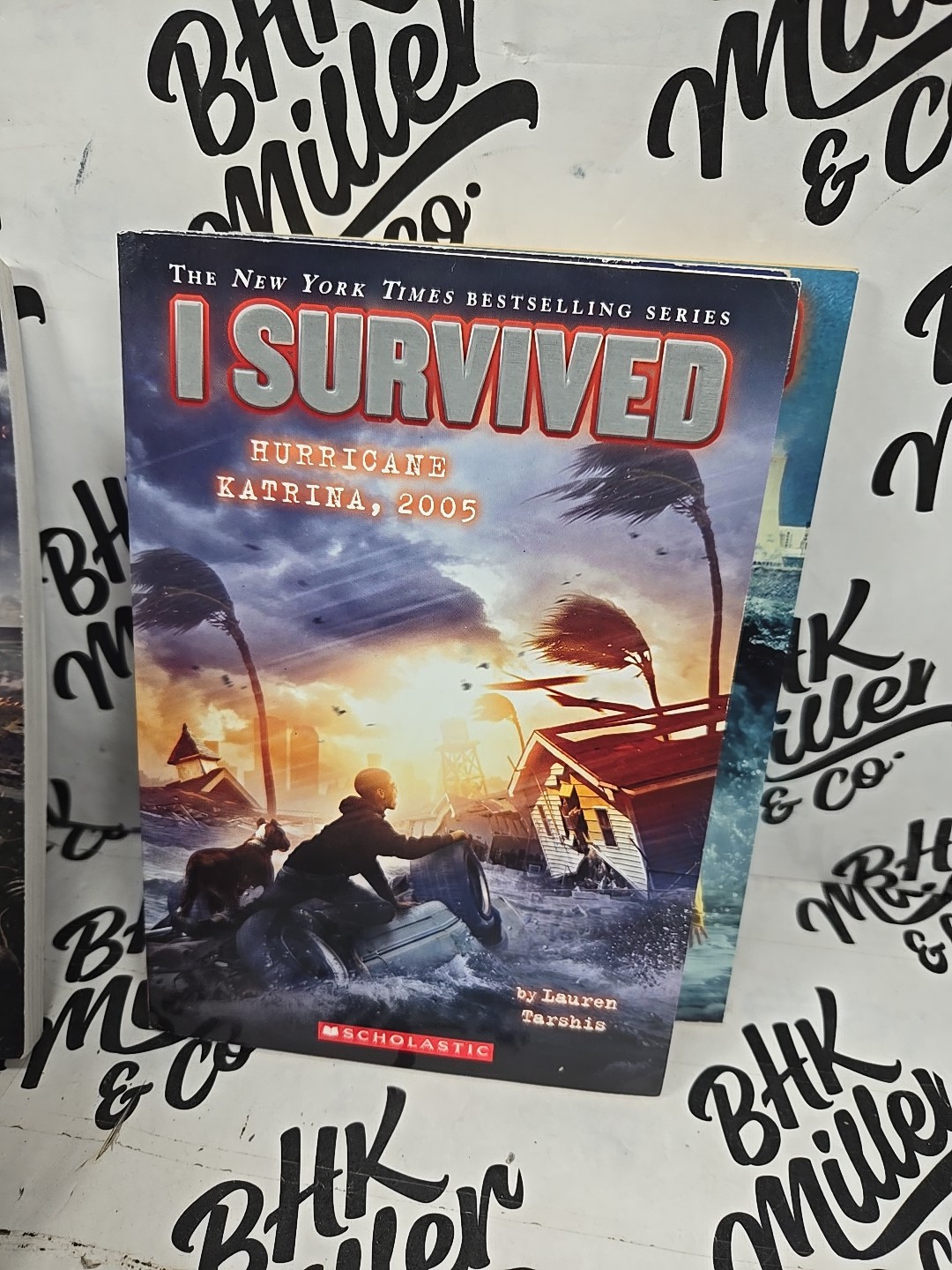 I SURVIVED Series Chapter Books by Lauren Tarshis Lot of 10