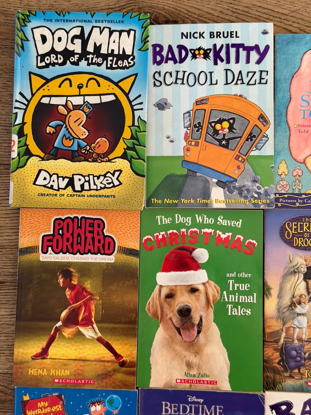 12 Kids Chapter Books Lot Dog Man Bad Kitty Ranger In Time Mr Ape