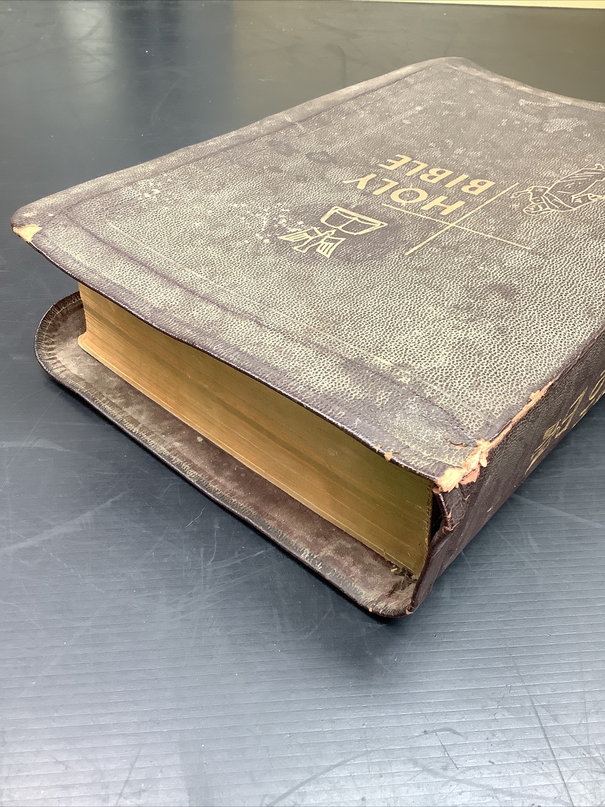 The Catholic Press Family Edition of the Holy Bible 1950 John P O’Connell