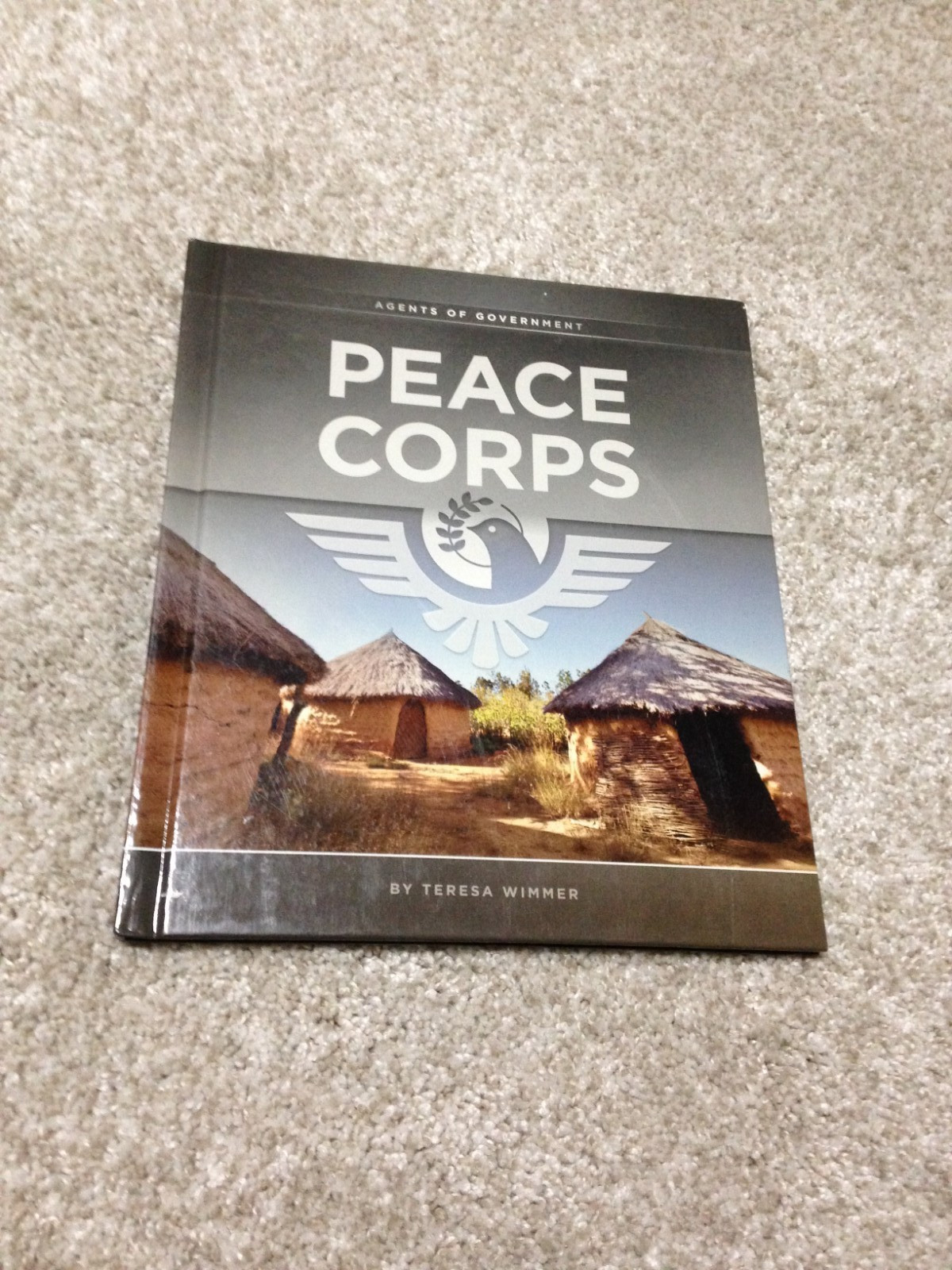 AGENTS OF GOVERNMENT PEACE CORPS TERESA WIMMER HARDBACK BOOK FIRST EDITION