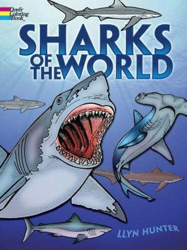 Sharks of the World Coloring Book by Llyn Hunter: New