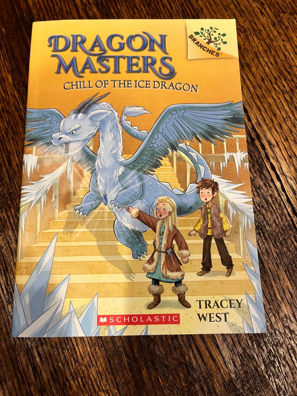 Dragon Masters Books 9-12 Set Scholastic Fantasy Series Paperback Lot Complete