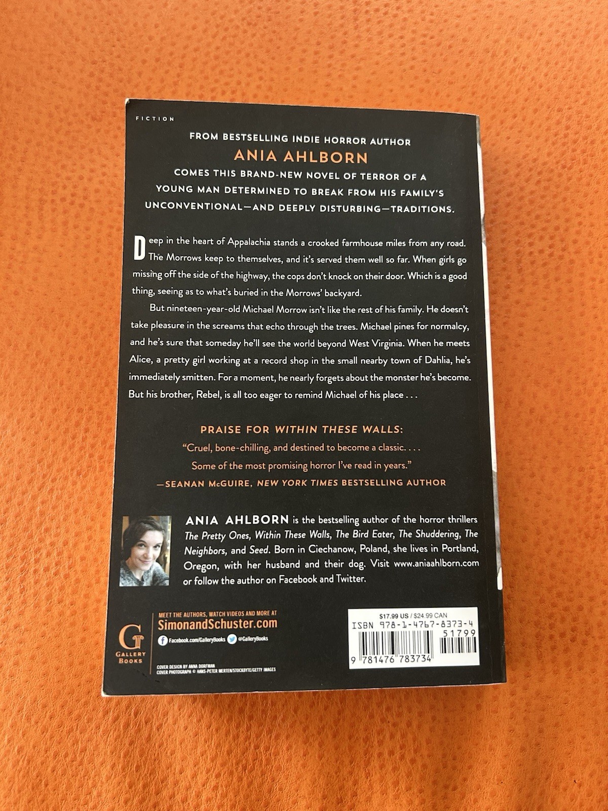 Brother by Ania Ahlborn (2015, Trade Paperback)